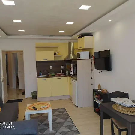 данделион *