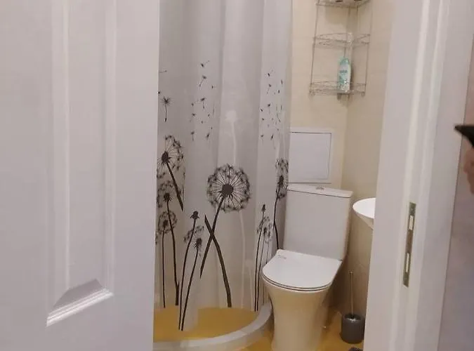 данделион 布尔加斯