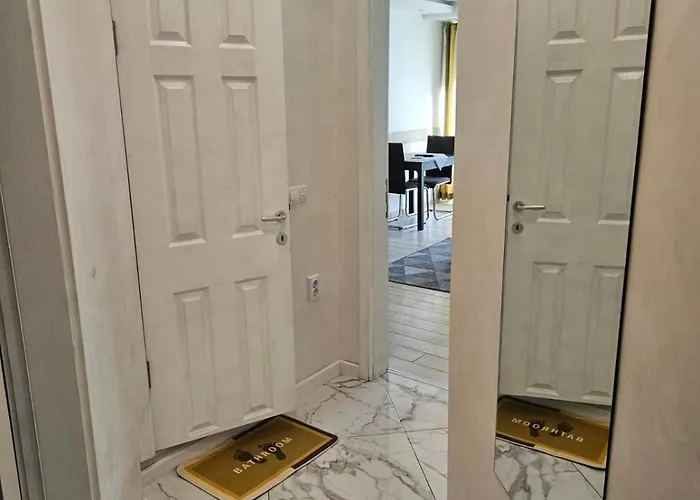 данделион 布尔加斯