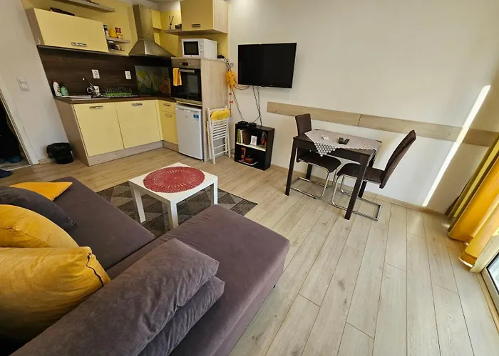 Διαμέρισμα данделион