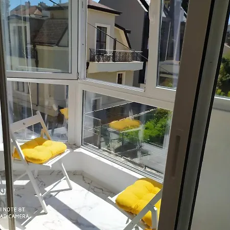 данделион Burgaz