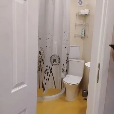 данделион Burgaz