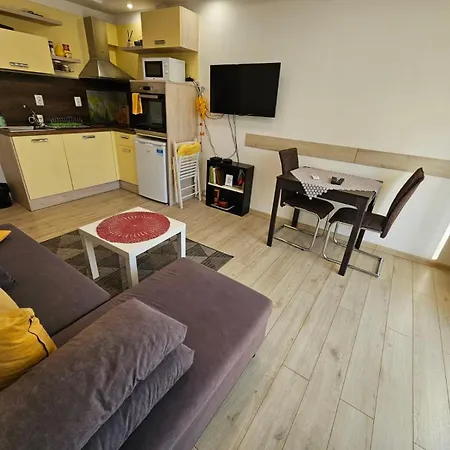 Apartment данделион