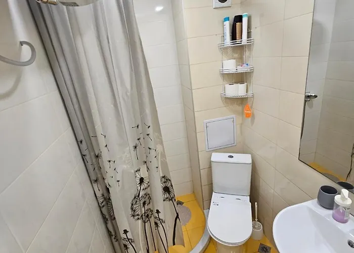 данделион * Burgas City